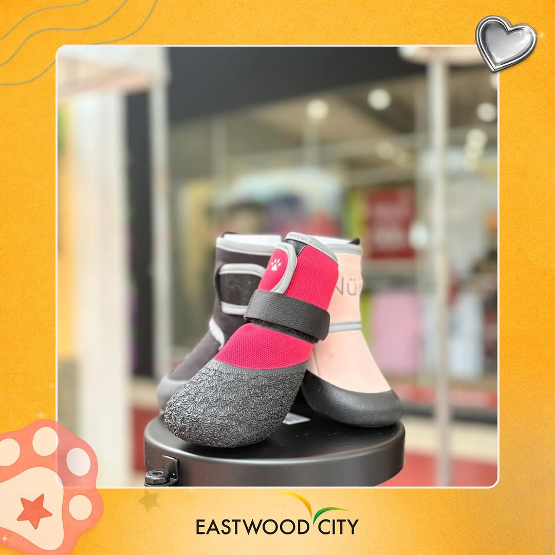 Stylish pet shoes displayed at Eastwood City pet fair